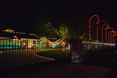 DSC_5778 (Large).JPG